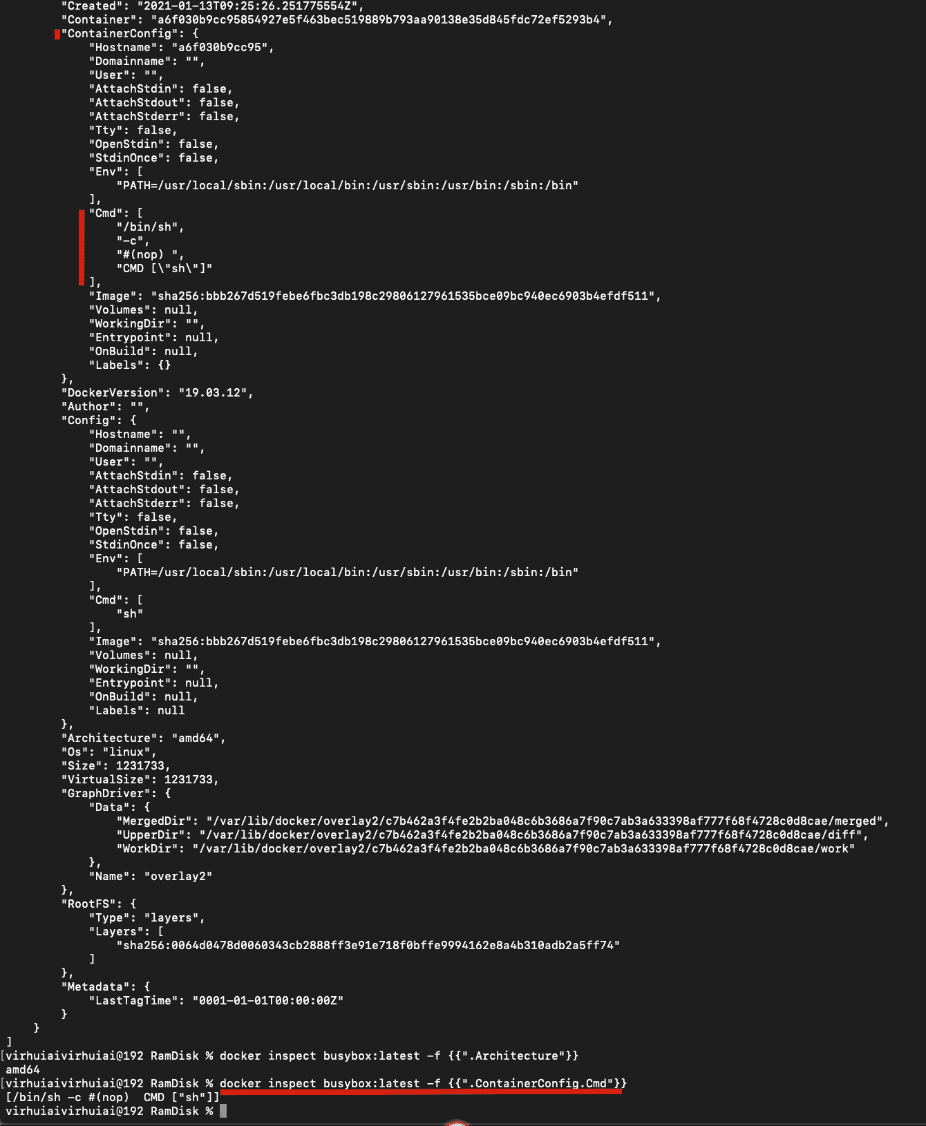 image-20210222081412436