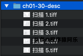 image-20210225133950238